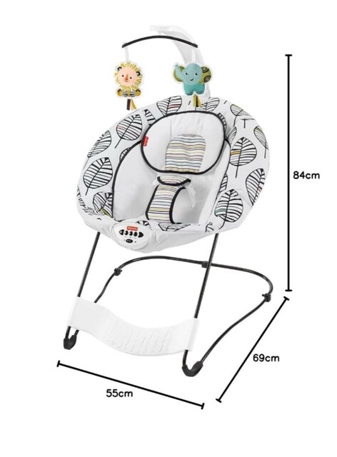 Fisher Price Titreşimli, Müzikli, Sallanan AnaKucağı