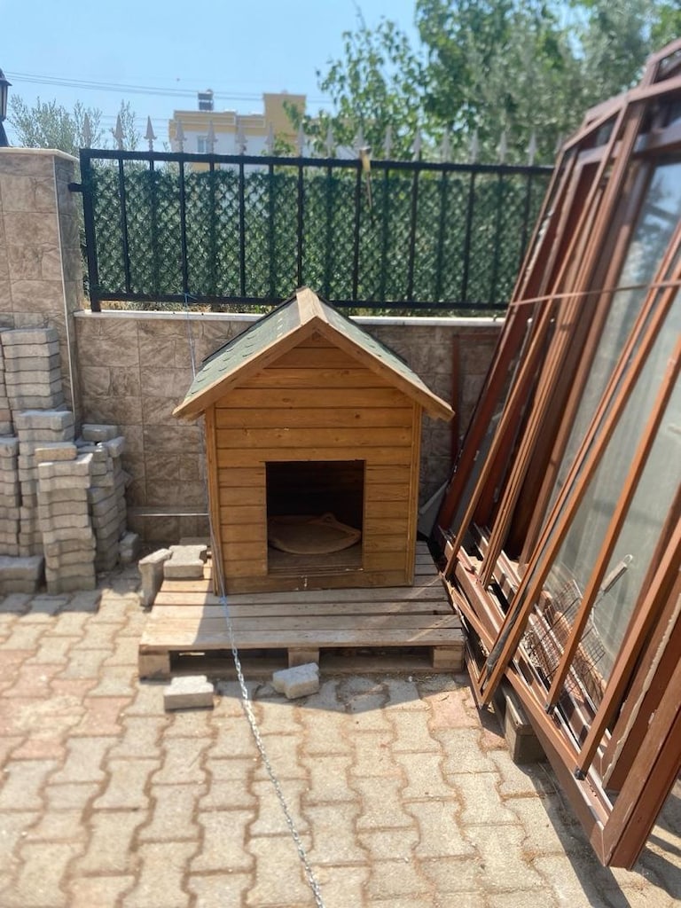 köpek kulubesi - 2