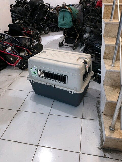 büyük boy hayvan taşıma kafesi