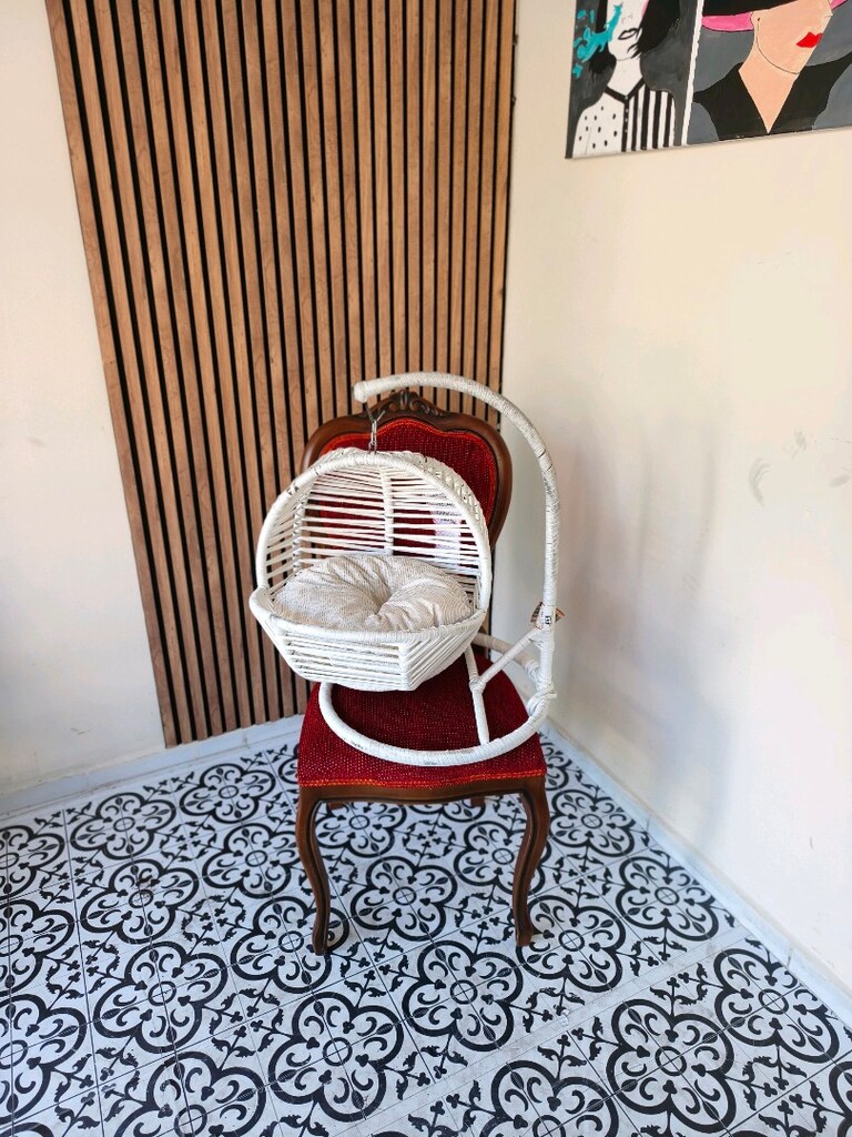 kedi salîncağî - 4