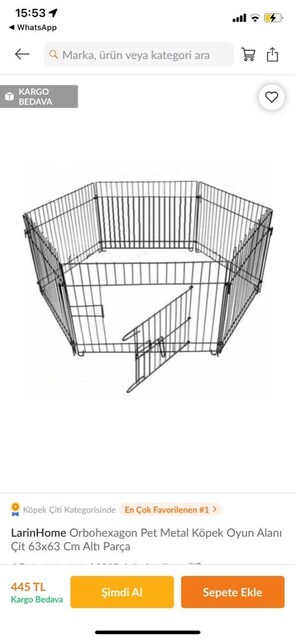 Köpek Çiti