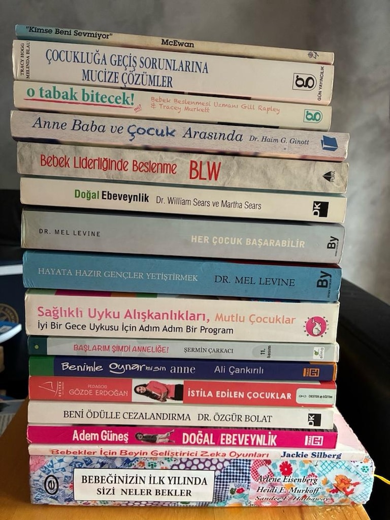 Anne Bebek & Çocuk Gelişimi Kitapları Toplu Set (16 Kitap)
