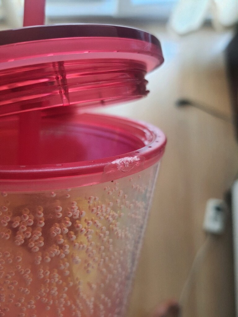 Starbucks Contigo termos bardak - 18