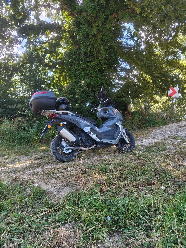 Arora Beatrix 150 / 2023 / ABS - 6