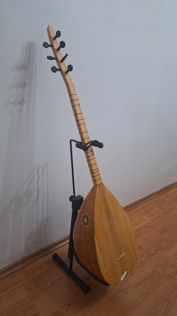 Saz Bağlama (Kılıflı) - 2