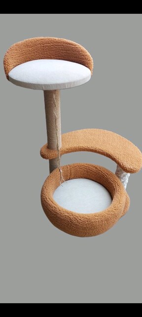 kedi evi