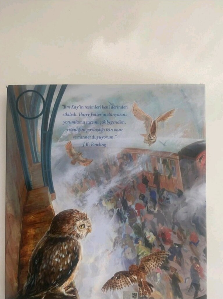 Harry Potter ve Felsefe Taşı (Resimli Özel Baskı) - 9