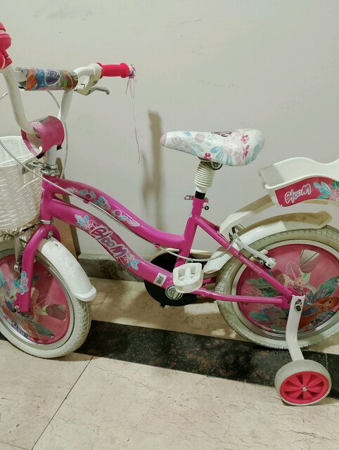 Ümit 16 Winx bisiklet