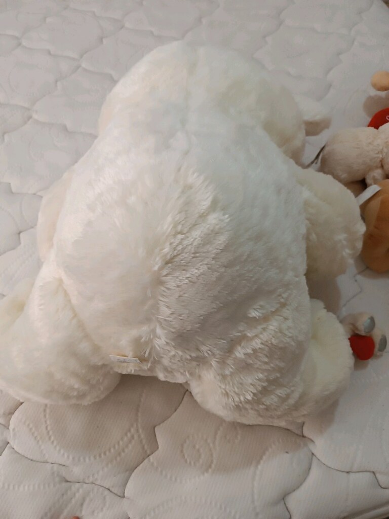 Sevimli renkli peluş ayıcıklar - 3
