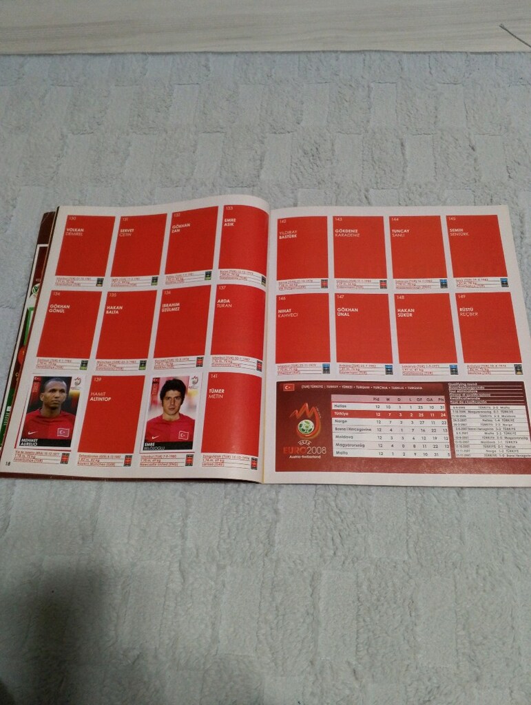 panini euro 2008 Avrupa şampiyonası - 5