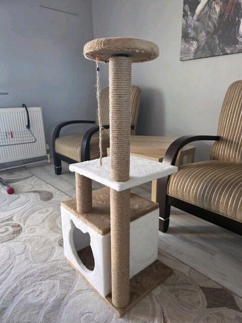 komple kedi seti