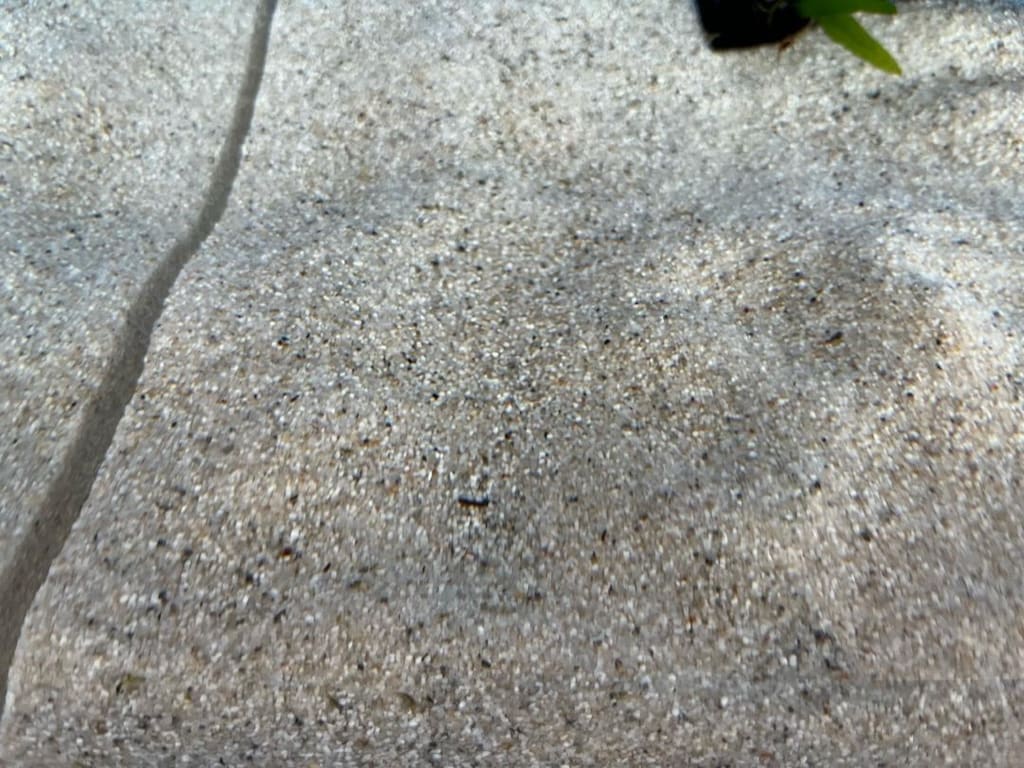 Jbl Sansibar River (Nehir) 0,4-1,4mm 10 kg Kum - 2