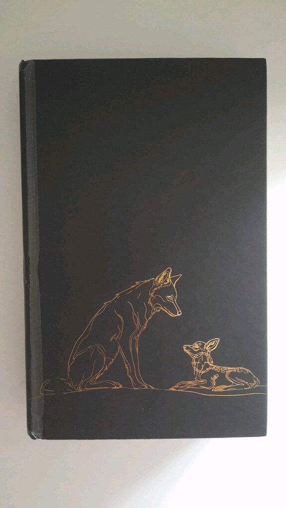Kitap Ardıç 2 Umay Gümüş - 3