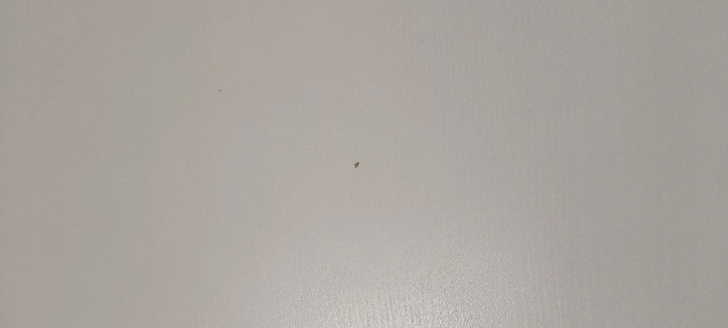 ikea masa - 3