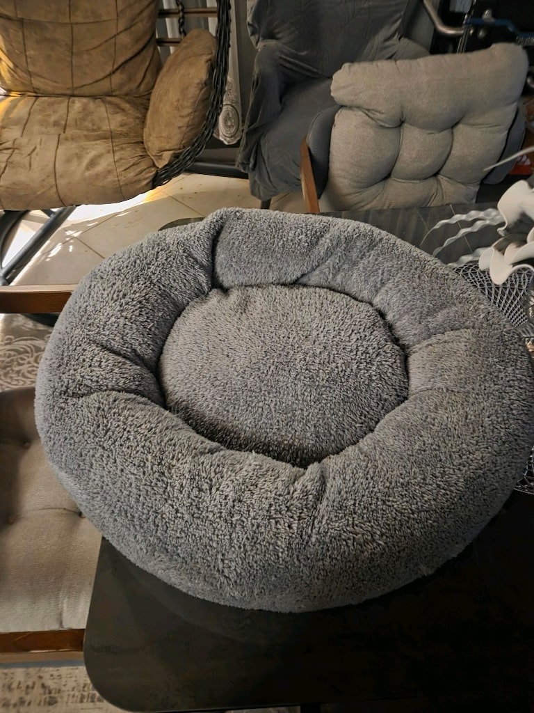 Kedi Eşyaları - 3