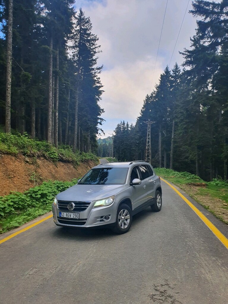 tiguan - 2