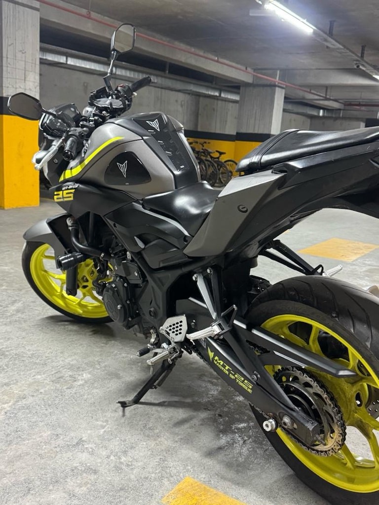 2018 MT 25