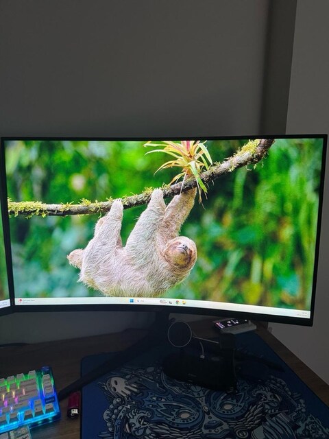 acer monitör