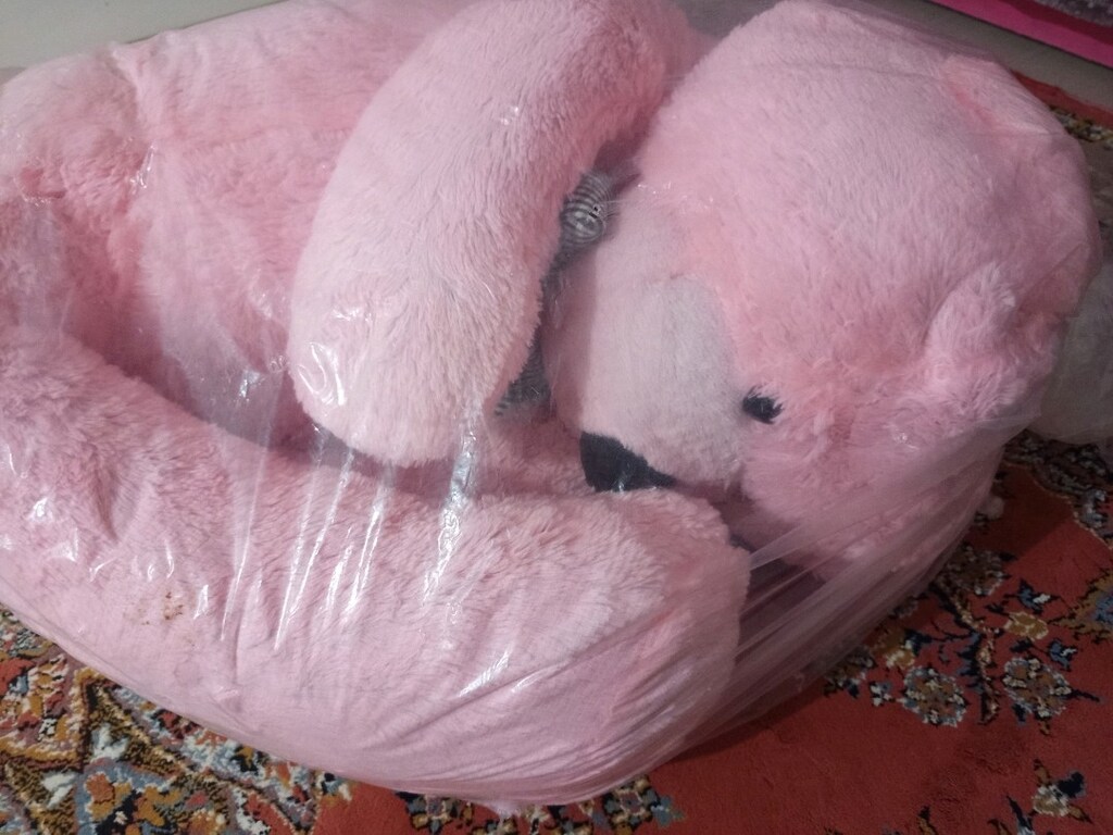 kullanılmamış poşetinde 160 cm kukı's oyuncak ayı peluş ayı (msj atın) - 4