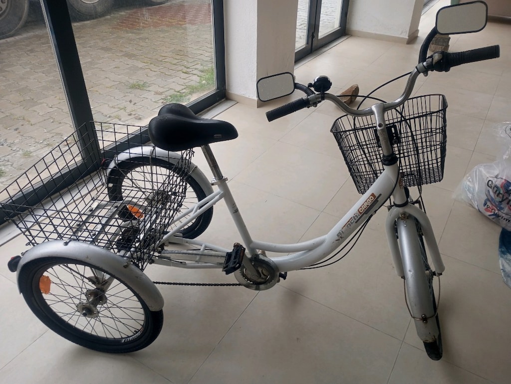 Bianchi cargo - 3
