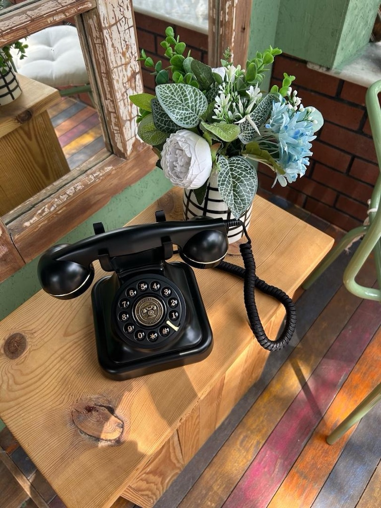 Ses kayıt cihazlı anı telefonu - 2