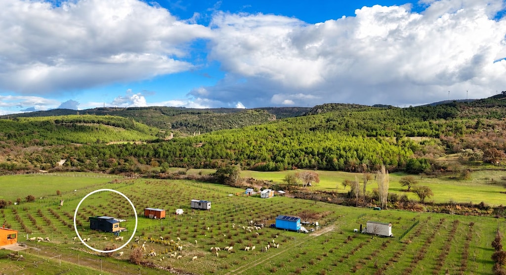 Özel Teraslı Tiny House Çandarlıya 20 km - 3