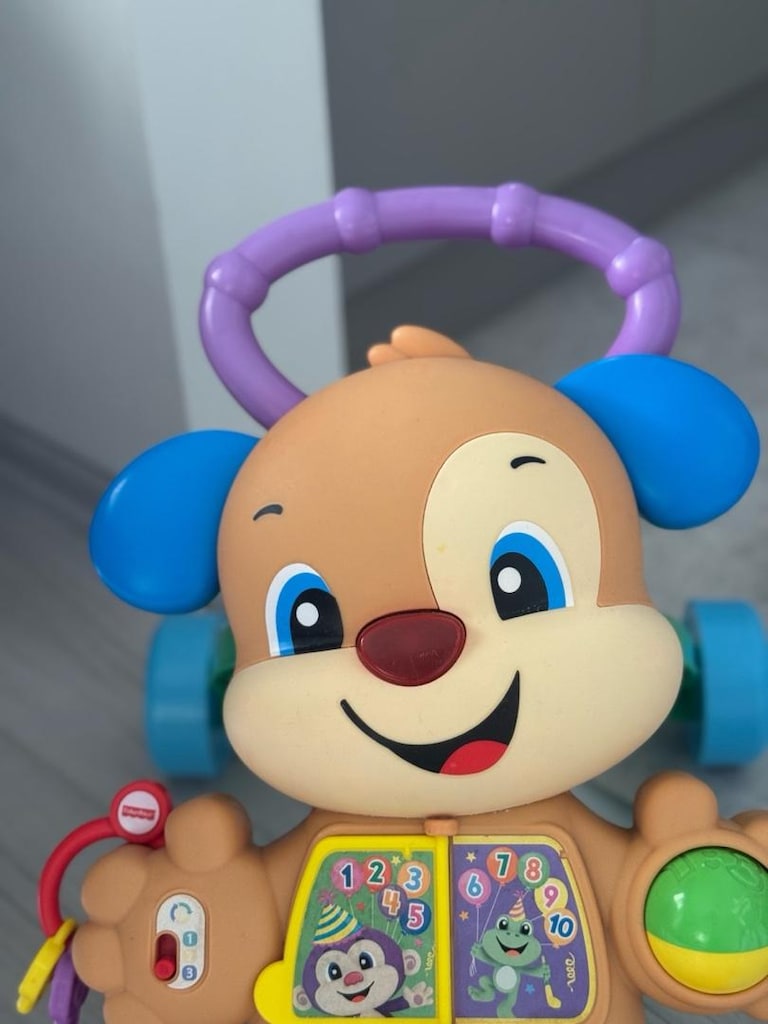 Fisher Price Yürüme Arkadaşı Köpekçik - 2