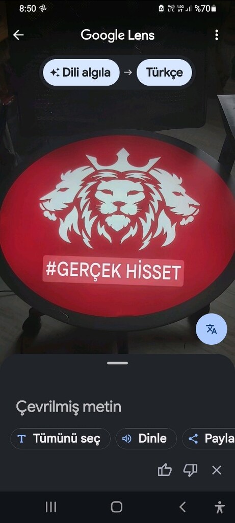 aslan Led ışıklı tablo - 5