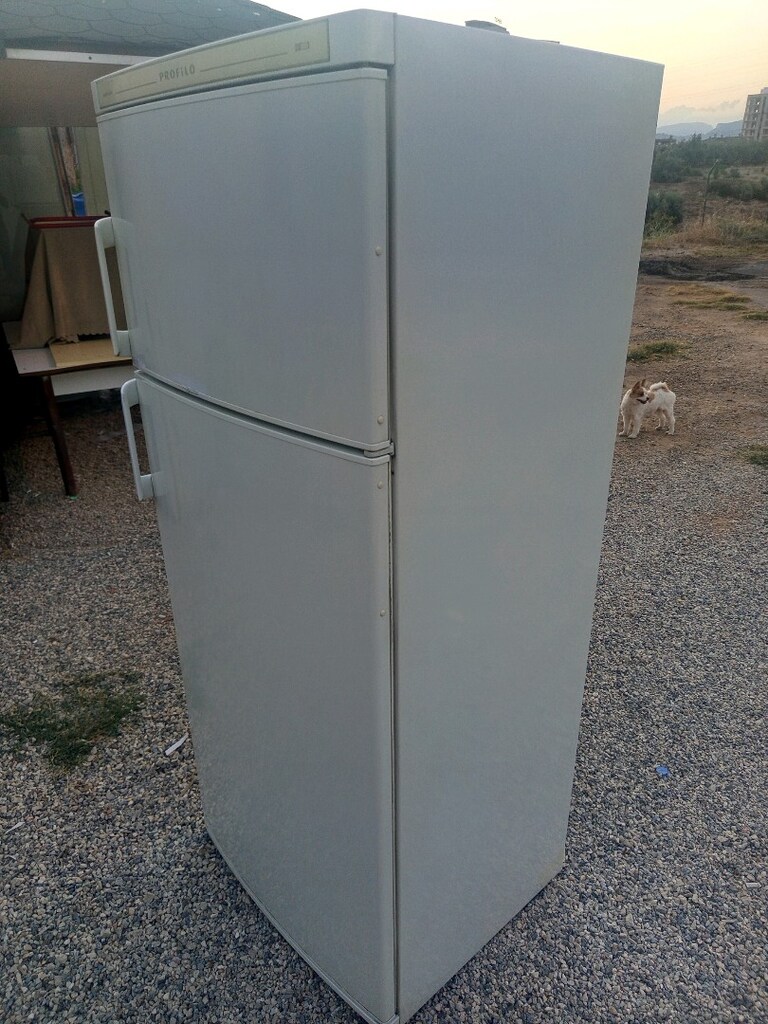 PROFİLO BUZDOLABI A SINIF EVE TESLİM SON FİYAT - 2