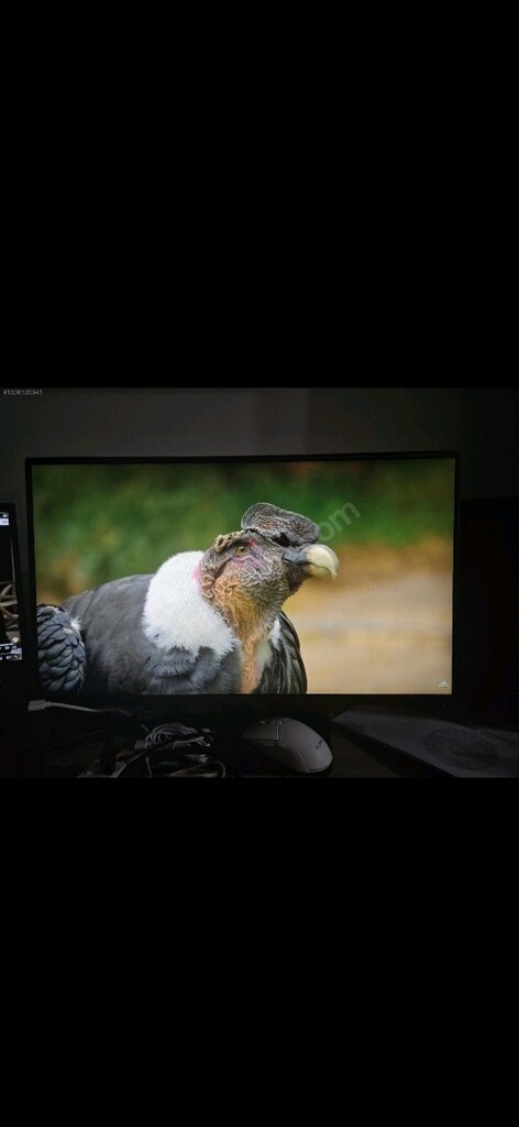 ASUS 24,5" VG258QR 0,5Ms 165Hz FULL HD GAMING MONITOR - 5