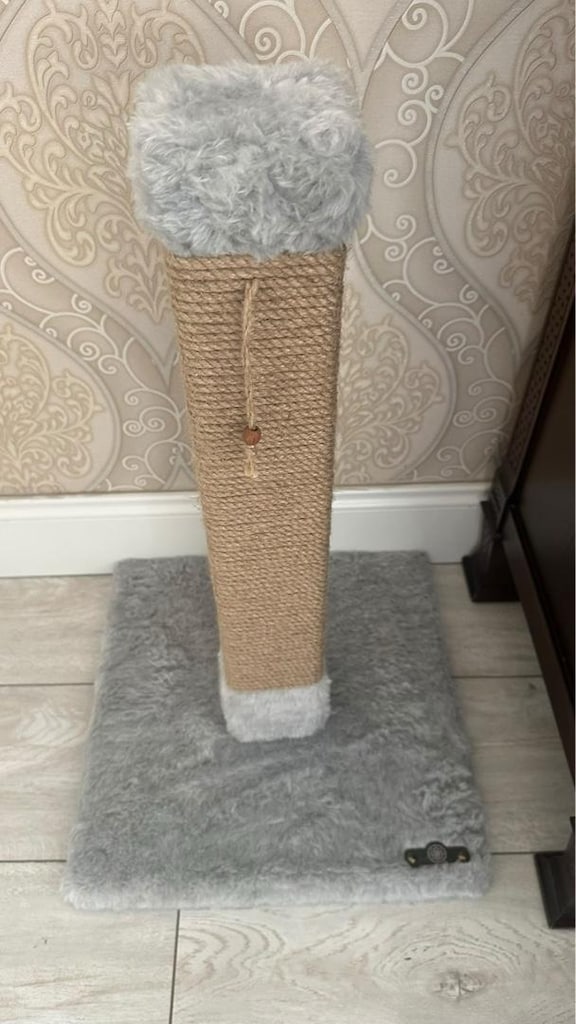 kedi aksesuarları - 3