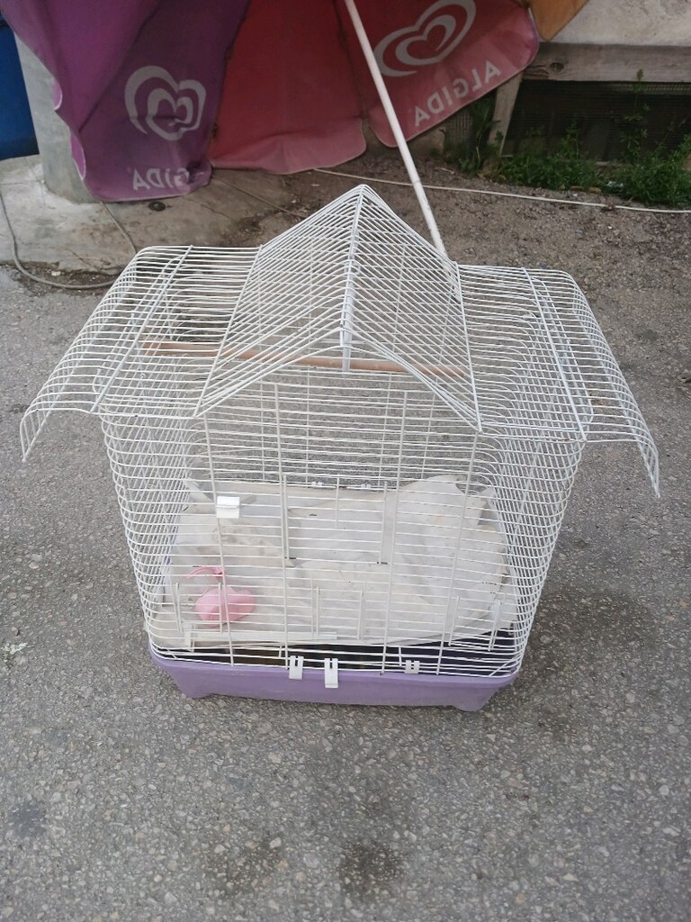 papağan kafesi - 2