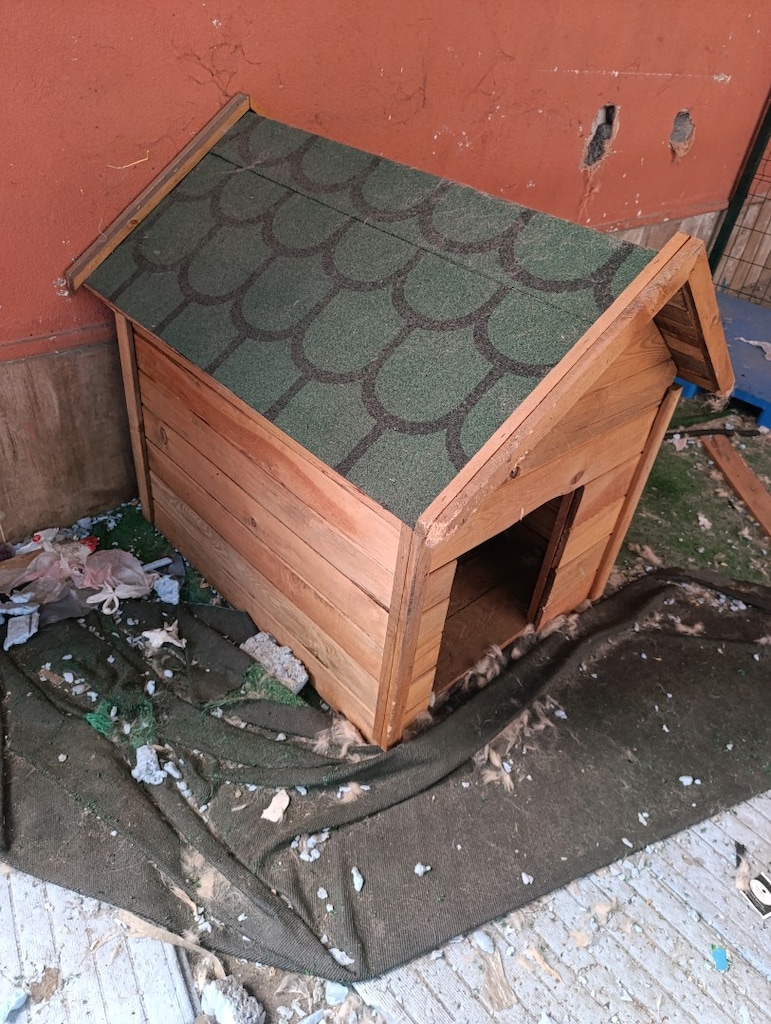 köpek kulübesi - 2