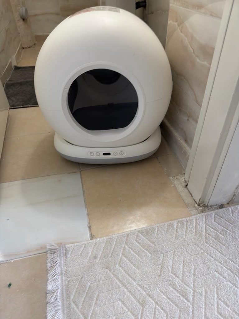 Kedi Tuvaleti