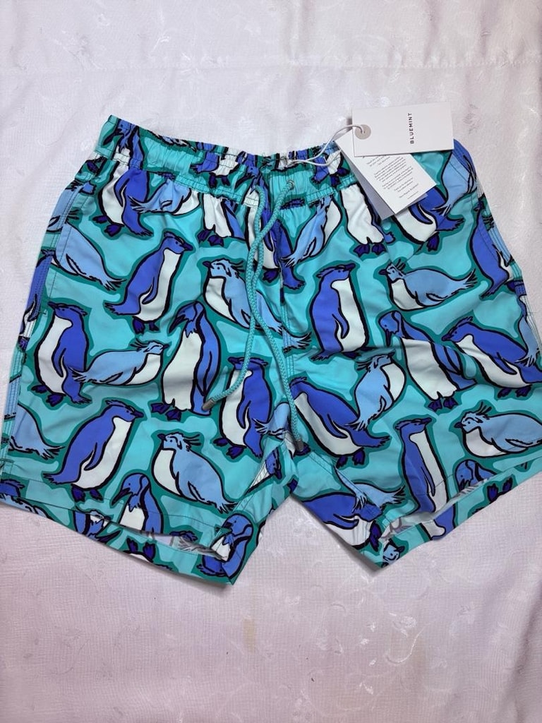 BLUEMINT The Penguın - 2