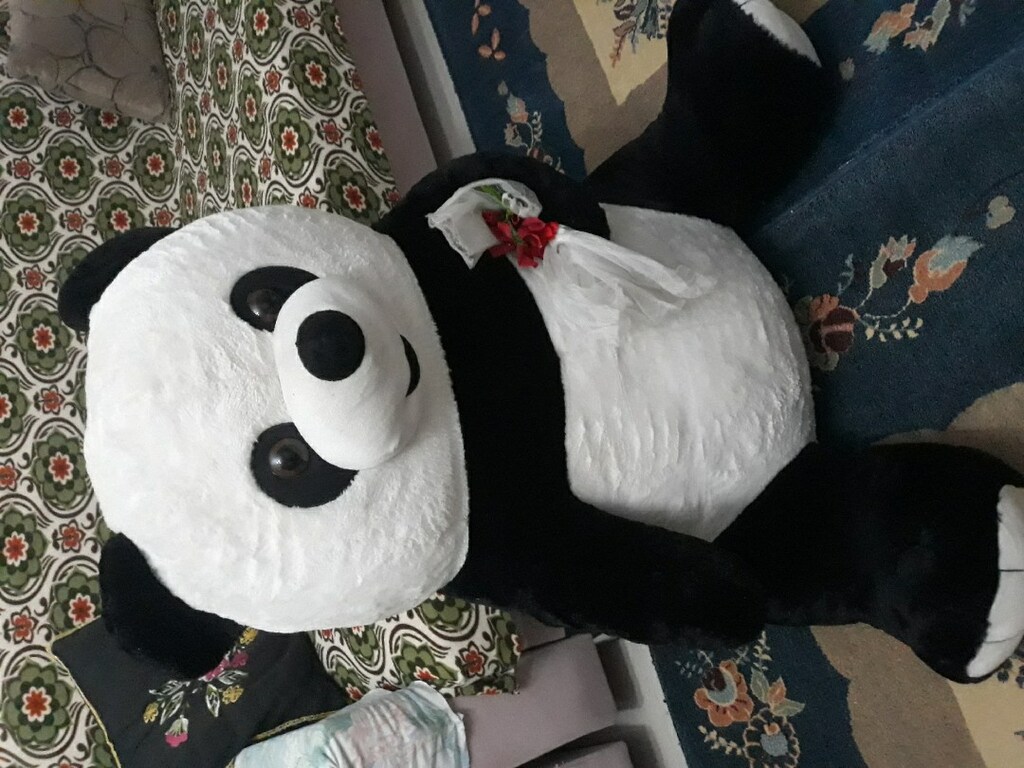 büyük panda ayı adres İstanbul Maltepe Fındıklı mahallesi - 4