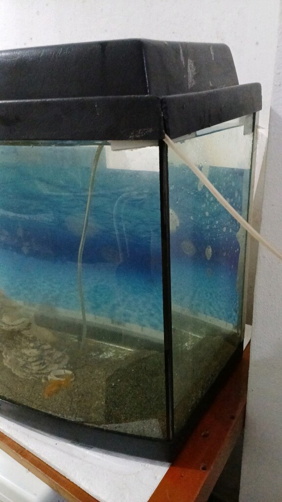 bombeli kurulu akvaryum - 3