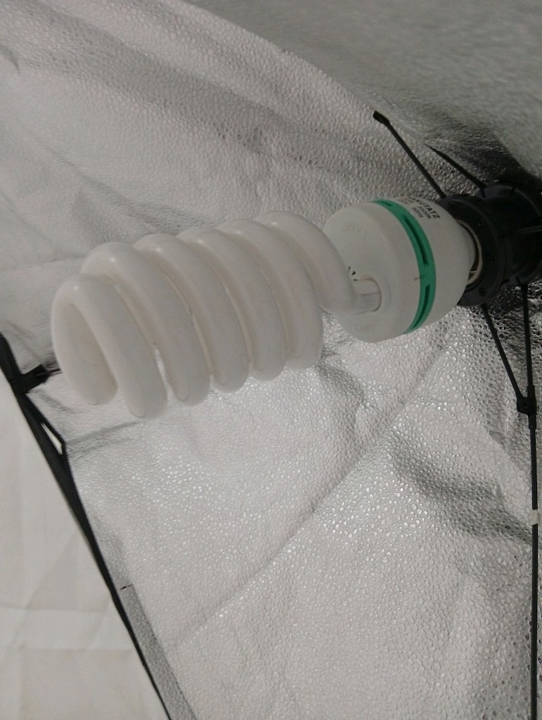 SOFT IŞIK - 4
