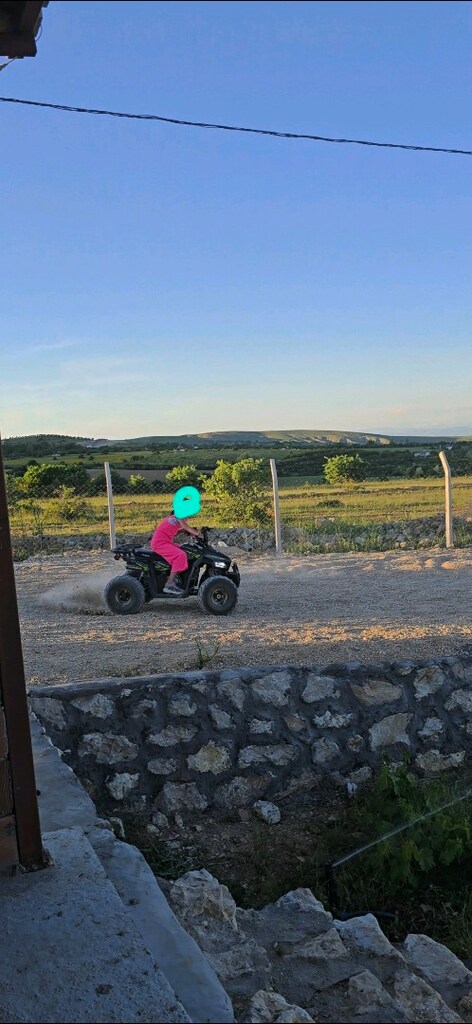 SEGWAY 110 CC ATV - 8
