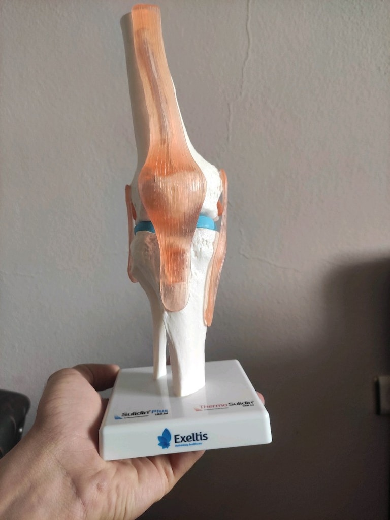 Diz maketi(patella) - 3