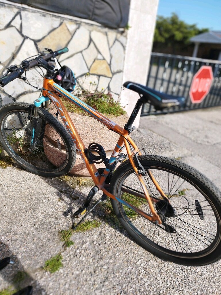 Salcano NG650 Dağ Bisikleti - 2