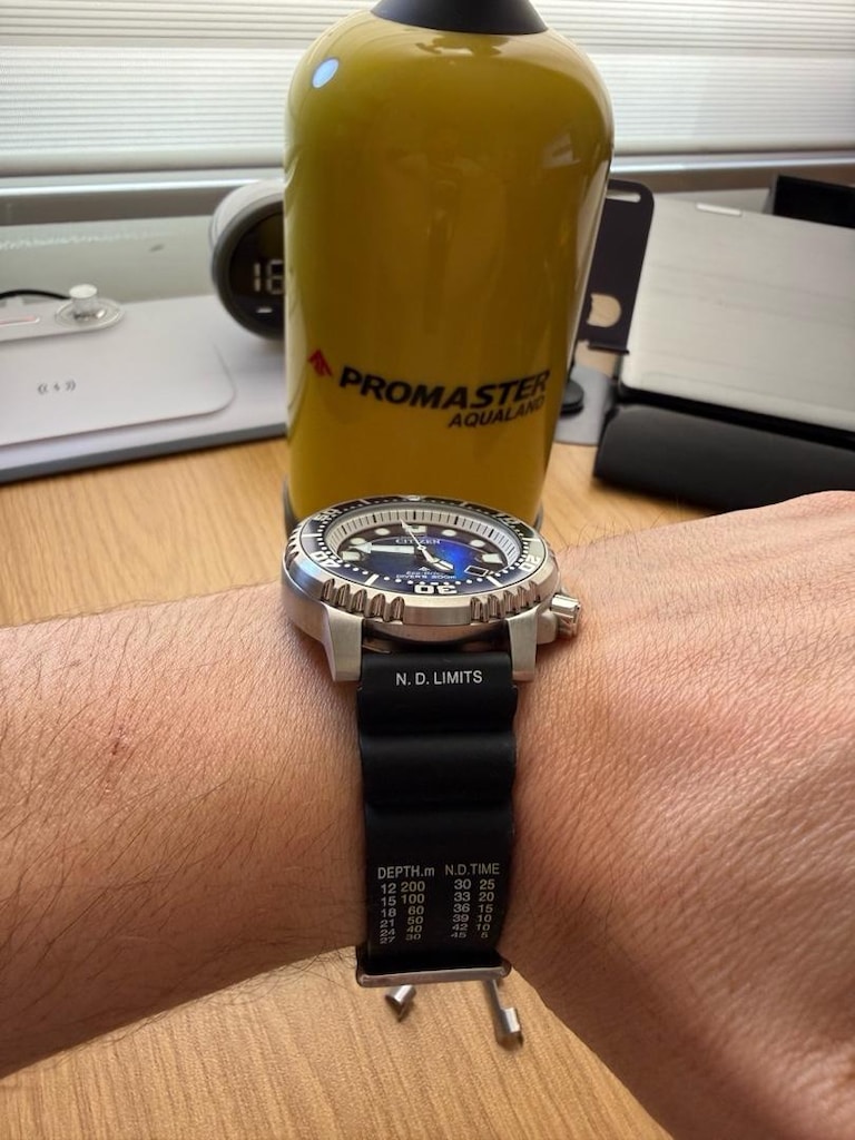 Citizen Promaster BN0166-01L Limitli Kol Saati - 5