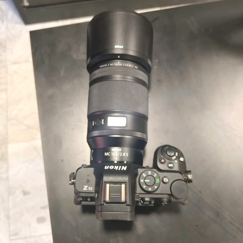 Nikon Z5II Body - Nikon 105mm - tripod - ışık - 12