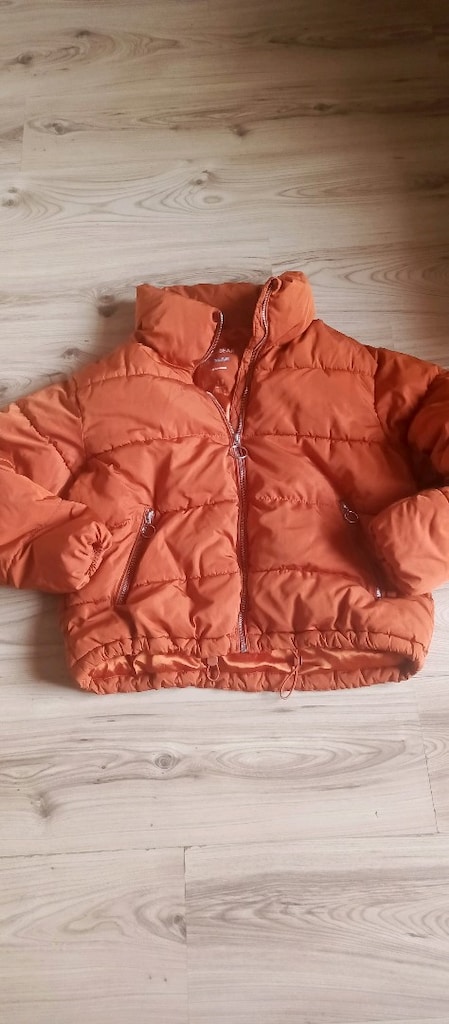 pul bear Mont