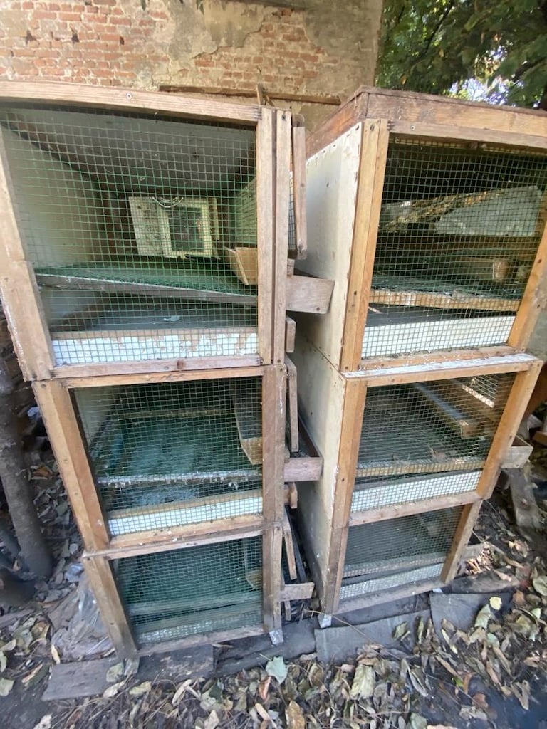 Bıldırcın yumurtlatma kafesi - 5