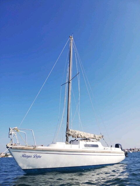 6 metre Polimarin Schorcer Yelkenli