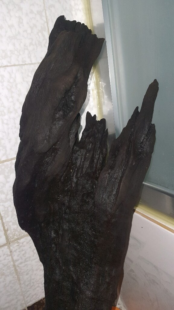 Akvaryum Mangrow Kökü - 2