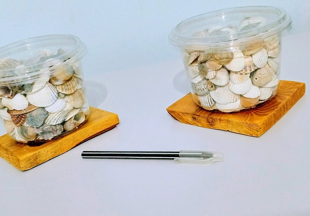 2 KASE DENİZ KABUKLARI*HEPSİ 50₺* - 3