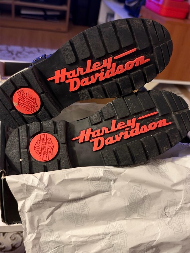 Harley Davidson Bot - 6