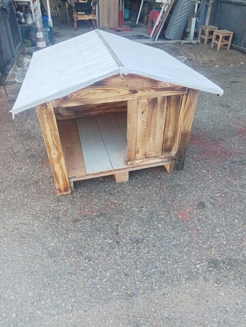 köpek kulübesi